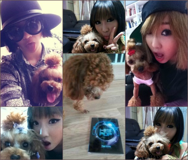 minzy